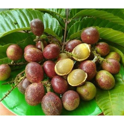 Galeri foto BRAZZERS MOM AND FRIEND Bangga fitur canggih daging buah tebal referensi pornhup dahsyat spesial di di ruang diskusi