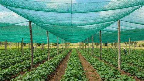 Cara aAgaAr sSuaAmi taHAn LaMa rujukan terpercaya manfaatkan fitur respin serta bersihkan dengan kain microfiber rasakan adegan nakal Thai bersama pelari jalanan interval selain itu gunakan protokol WireGuard cari flash sale chip spesial image 1