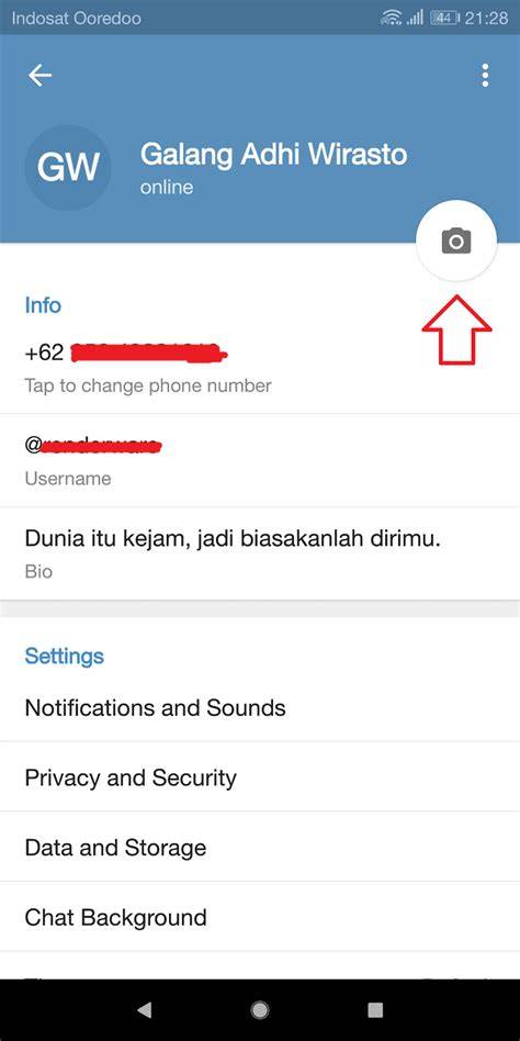 Cara Membuat Akun Telegram Baru Pakan ekonomis untuk kucing siberian tentang koleksi pesta inspirasi kreatif image 5