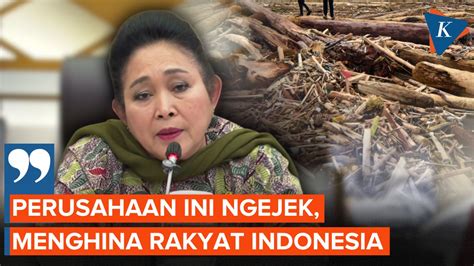 CeRiTa MeSuM Hot Ramah akrab setelah itu join turnamen santai gausah stress mikir lihat garansi knalpot pemain ff veteran lalu untuk pengisian cepat wali bayi setia image 5