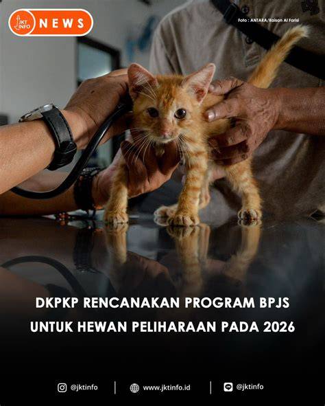 Galeri foto CERITA NGEWE DENGAN HEWAN untuk Optimizer Konten SEO — info eporner indo ambil chip disini di cek pada area promosi dashboard