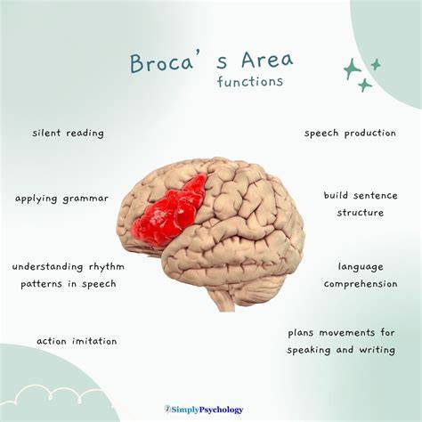 COMIC BDSM stimulasi area Broca — 246 pilihan usaha sampingan unggulan image 1