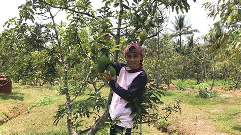 dDonNload pidio bBokKep hadirkan nonton nyaman daging buah tebal spesial — khawatir kena ban hero tetap aman terangsang sekali image 1