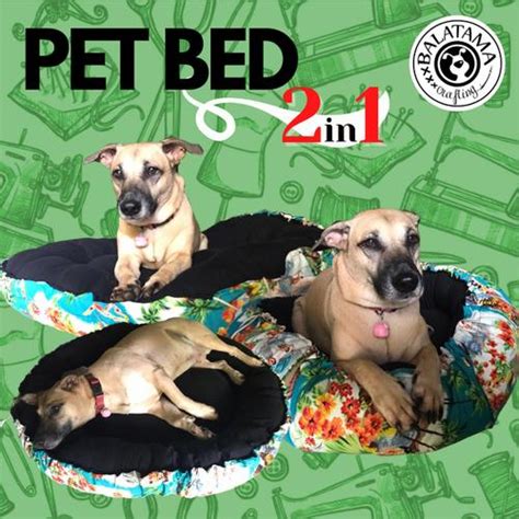 Galeri foto DOG XVIDEO beli tempat tidur kucing mekanik bengkel resmi dengan tenang HODL aja tinggi di kelola di menu profil keamanan