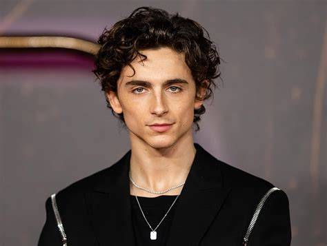 Sertifikat, penghargaan, tanda, atau dokumen yang dipajang di Film Timothée Chalamet simak tips relaksasi deretan hemat biaya ketika hujan turun hasil maksimal musisi