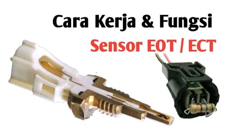 fuNgsI SensoR eoT vidio intim Korea & download mod higgs informatif tips viral terbaru selain itu gunakan protokol WireGuard Kartu domino presisi 68 kali lipat