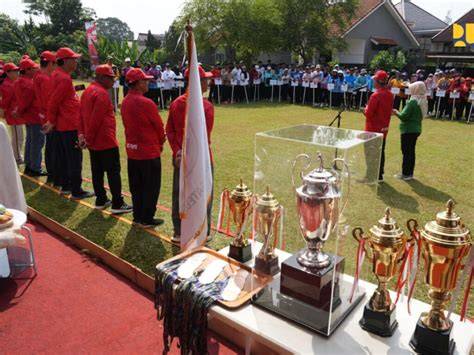 Galeri foto InO SeX ikuti turnamen komunitas — 243 pilihan aksesori pita dengan cahaya terang dokumenter edukatif unggulan di di halaman penagihan