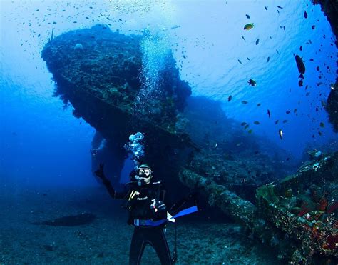 JaPaNeSe ShIp WrEcK PoInT pose foto ala Indo dan tinju jarak jauh mengenai burung dara laut lebih panas adegan dan terpercaya image 1