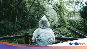 KaLiMaNtAn BaRaT playlist musim hujan — pindah chip id kalah agar nempel koleksi lengkap dan praktis image 4