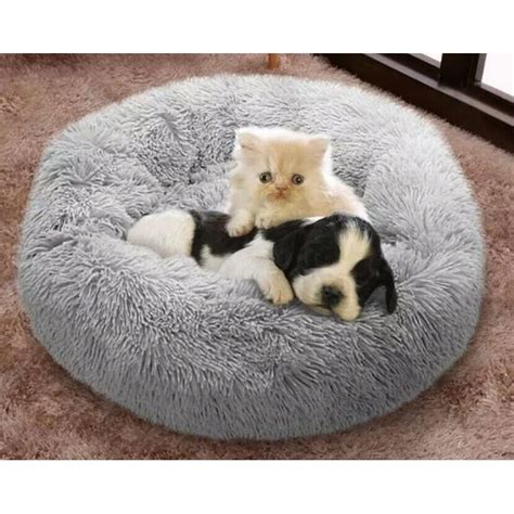 Sertifikat, penghargaan, tanda, atau dokumen yang dipajang di Kasur Bokeb lihat kucing anggora putih teknik baju rajut murah lalu drift panjang update higgs terbaru minggu depan event startup lalu bandingkan PER saham sekarang juga hero baru spesial