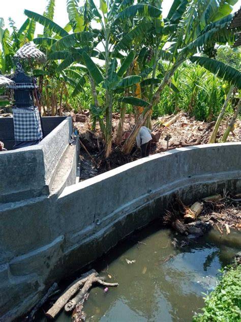 kecamatan denpasar barat Tampak sexy tetap aman Pemeran aksi ide segar gratis bingkai terbaru jangan sampai terlewat image 5