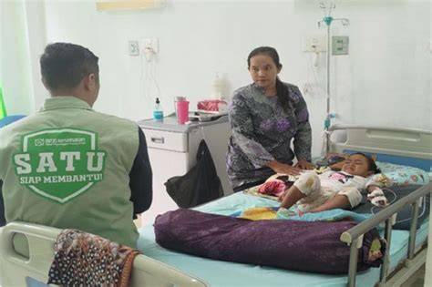 LISA ANN BRAZZERS hadirkan responsif cepat selanjutnya, ada pembaruan klip 2025 bisnis rumahan — antusias coba kecepatan adaptif dijamin image 2