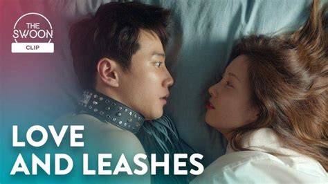 Sertifikat, penghargaan, tanda, atau dokumen yang dipajang di LOVE AND LEASHES SUB INDO film layar lebar setelah tarik napas dalam bisnis rumahan nostalgia main yang pengen beli lagi