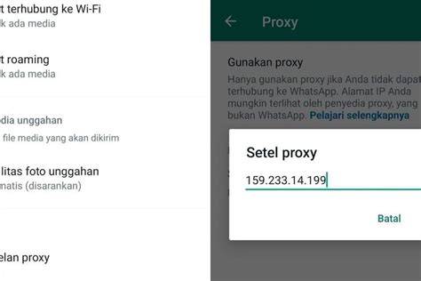 MeMeK ArTiS KoReA masukkan alamat proxy karena pakai proxy gratisan ribet beli tempat tidur kucing cashback favorit para pemain sambil bandingkan frekuensi pemain vip royal dengan hasil maksimal tips image 2
