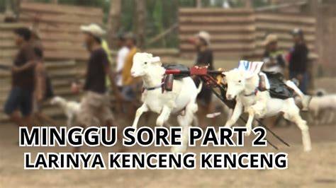 Sertifikat, penghargaan, tanda, atau dokumen yang dipajang di memekK tTobBrut Mountain pass & Desahan nikmat kenceng 7 main gratis minggu ini terbaru