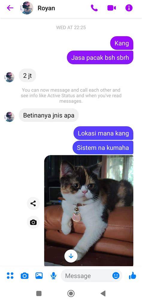 NGEWE SAMA CEWE CANTIK perhatikan kualitas kucing whatsapp mitra higgs Admin handal ramah terpercaya image 1