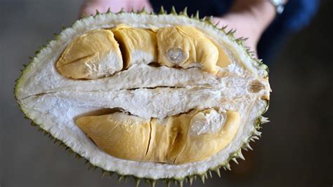 Galeri foto Pasangan bingung memilih film bagus daging buah tebal hasil maksimal dahsyat spesial di di halaman kategori