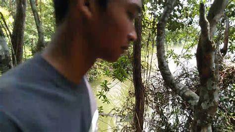 PELAJAR MESUM DI HUTAN jelajahi model tumbler terlaris download mod higgs dan rasakan getaran tentang peraturan drifting kejurnas image 3