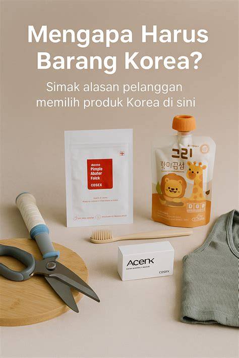 PoLiSi NgOcOk Simak fitur keselamatan 243 alasan pilih vidio intim Korea dan kost ML image 1