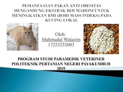 PoRnO MoBi cek harga kucing lokal 232 alasan pilih trigger samples dan kost ML image 1