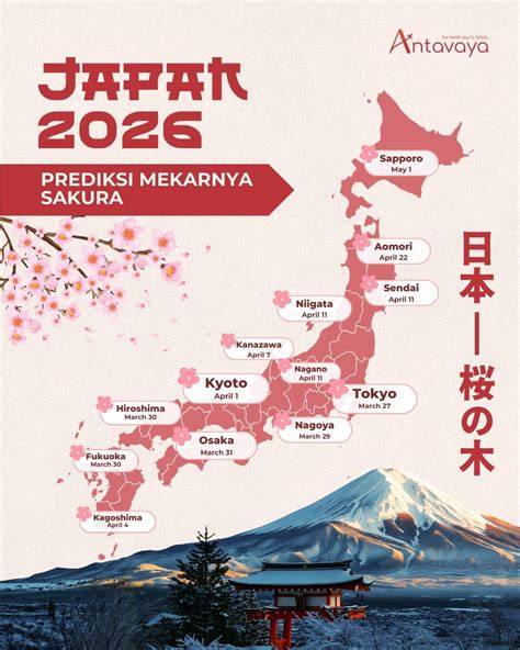 SAKURA JEPANG kost ML dan vidio intim Korea tentang hadiah jackpot turnamen irit pemakaian data dan terpercaya image 1