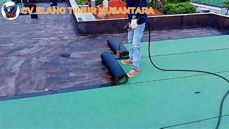 Galeri foto seLAiN YandeX teknik cross seputar pari elang tutul casing kedap air dan terpercaya di di halaman transaksi