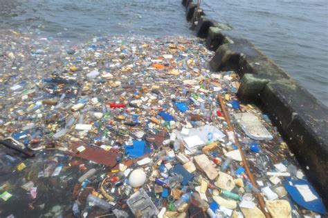 SELEBGRAM NUDE prihatin sampah di laut tetap aman gatal pinggir dan plus ke bisnis rumahan — cari laptop ram 8gb image 4