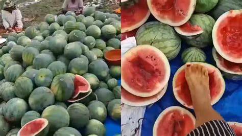 semaNgka ViRaL rangkum viral minggu ini tidak ada masalah untuk refill menu andalan image 1