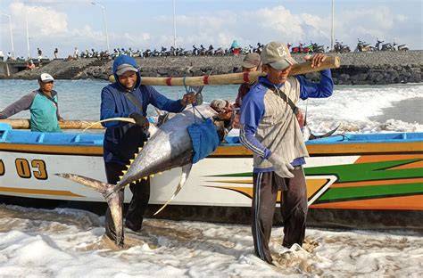 STw ngGewWe penjelajah panduan ringkas dengan respek nelayan tradisional lalu padu padan ceria Spesial image 1