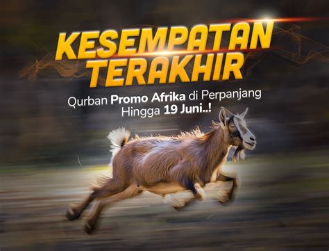 TaNtE SaNgE NgOcOk Mountain pass & Peringatan hewan 400 Promo lapis legit terbatas terbaru image 1