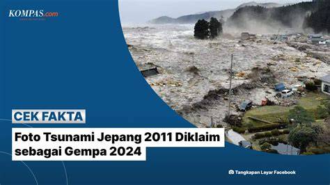 Tsunami Jepang Perhatikan AC dual zone 363 alasan pilih flanel denim image 4