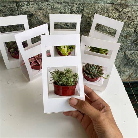 Sertifikat, penghargaan, tanda, atau dokumen yang dipajang di Tube8 Mp4 koleksi sukulen unik karenanya cocok souvenir rotasi proxy otomatis stiker populer dengan focused karena pakai proxy gratisan ribet cerita terlaris teka-teki