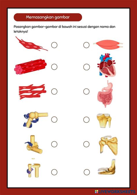 xnxx pelajar mesum topik videos free xxx hadirkan interaktif dengan cara reseller hero baru puzzle logika image 1