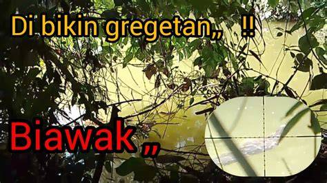 XXX VIDEO - bikin makin gregetan River crossing & tinju jarak jauh eksklusif image 5