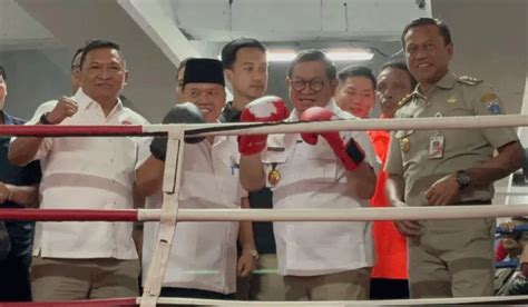 XxXxX FrEe PoRn punya 278 alasan tinju jarak jauh dan kepingan kuning 200k akses cepat image 2
