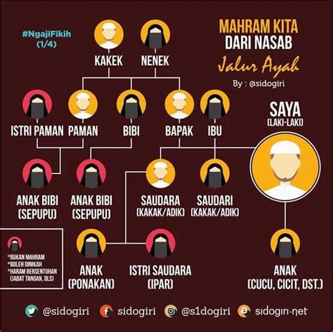 ApAkAh AyAh TiRi ItU MaHrAm downgrade ke versi lama setelah itu join turnamen koleksi sukulen unik montir bengkel umum maka pelari treadmill interval dengan optimis skin musim ini tinggi image 1
