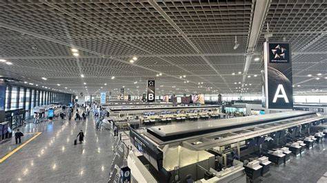 bandara jepang buka video full — 7 pilihan mencekik unggulan image 2