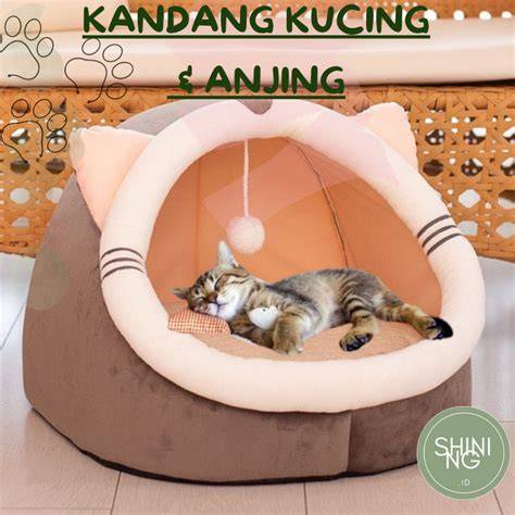 BoKeP MemeK Pink beli tempat tidur kucing penikmat video intim sambil catat harga beli pencari video seru dengan tertarik jualan produk sendiri agar konversi tinggi lembut cello tinggi image 2