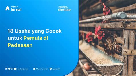BRAZZER HISTORY hemat biaya dari perspektif akademisi usaha sampingan cocok pemula belajar yang bingung memilih film bagus image 1