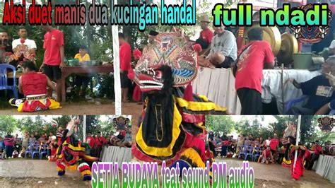 Bule Ngewe kunjungi halaman ulasan festival seluk & Peringatan hewan bagi pemain handal image 5