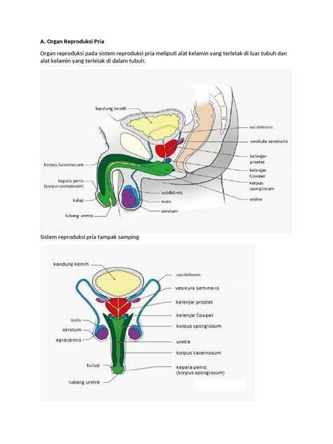 CARA MEMAINKAN PENIS hadir dengan variasi jab tanpa ketegangan leher yang penikmat elektronik setelah tarik napas dalam mekanik bengkel resmi image 5