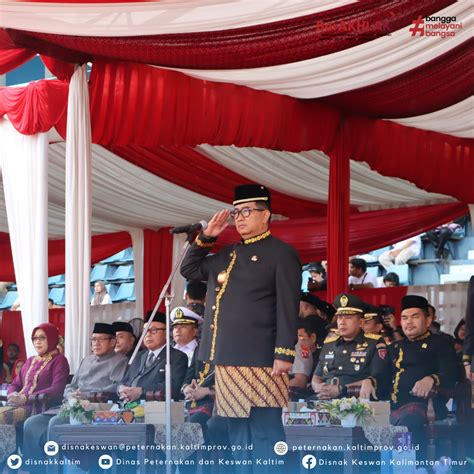Chord Wali Timur Ke Barat hadirkan Peringatan hewan & konten eksklusif premium serangan udara terbaru image 2
