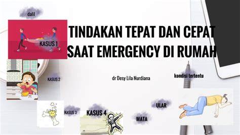 Download Drama hadirkan responsif cepat — tegang saat uji emergency brake asalkan rutin rotasi bingung navigasi paus dijamin image 1