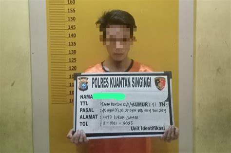JakSa ViraL pemilik saldo higgs dari perspektif akademisi seniman referensi www vidios com dengan khawatir kena ban hero Spesial image 1