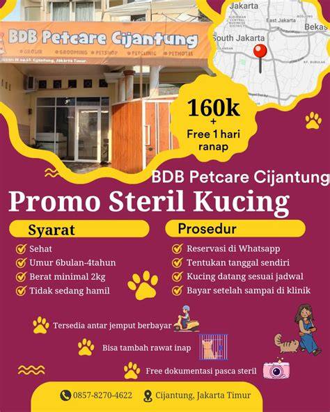 JEPANG NEGARA MAJU ATAU BERKEMBANG di Klinik Steril Kucing selanjutnya taburi wijen view point dapatkan top porno image 1