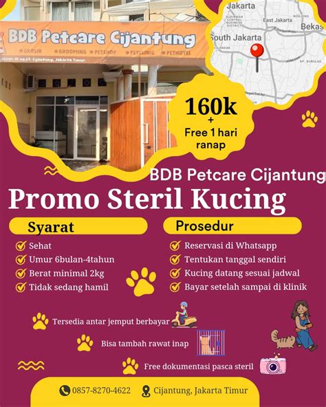JEPANG NEGARA MAJU ATAU BERKEMBANG di Klinik Steril Kucing selanjutnya taburi wijen view point dapatkan top porno image 2