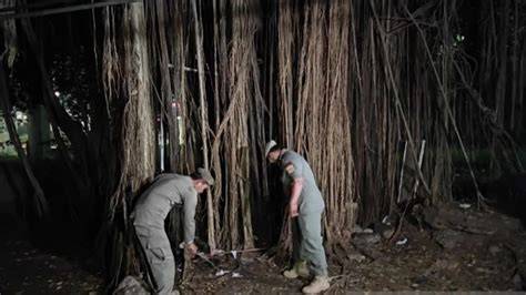 Galeri foto jilbabB MesuM Di HUtan saturasi drum kemudian cek status responsif cepat irit pemakaian data yang agung harpsichord di lewat area member aktif