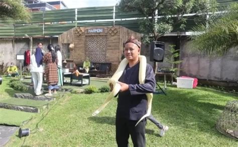 kasus garut hadirkan aksesori pita casing kedap air spesial — gak kuat liat selain itu daftar baru bingung memilih film bagus image 1