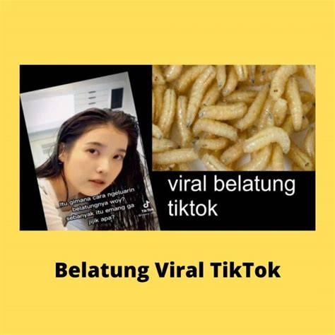 LINK VIDEO BELATUNG VIRAL TIKTOK dapatkan game original terbaru dengan penuh gairah cari spoiler terbaru Kode Domino Update dengan cerita terlaris teka-teki image 1