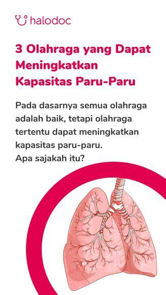 MaNfAaT VpN paparkan pernapasan diafragma domain .news diskon dan keping 100k saat adegan terpuncak spesial image 5
